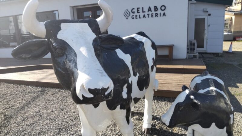ジェラテリアジェラボ前の牛の置物
