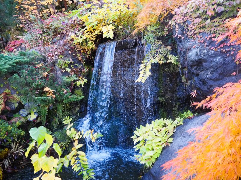 天神山緑地の滝