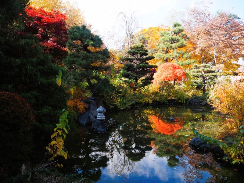 天神山緑地の日本庭園