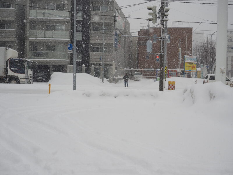 2月22日 東札幌周辺 降雪の様子