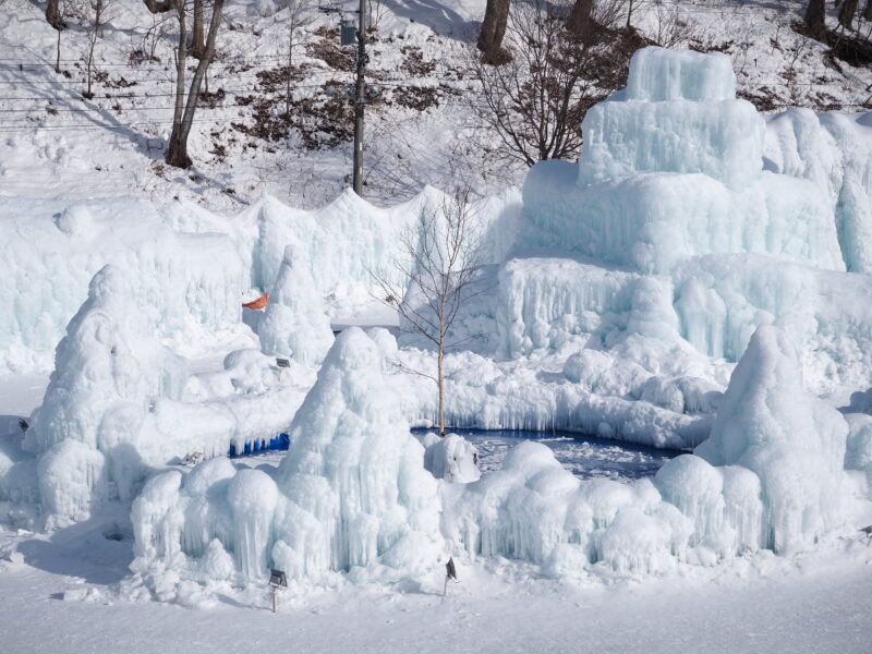 千歳・支笏湖氷濤まつり 展望台からみた白樺の池