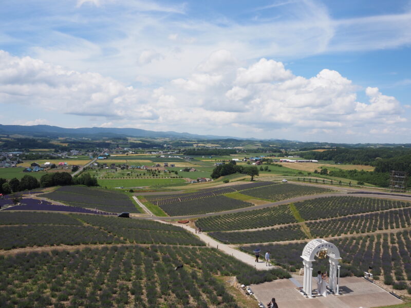 富良野