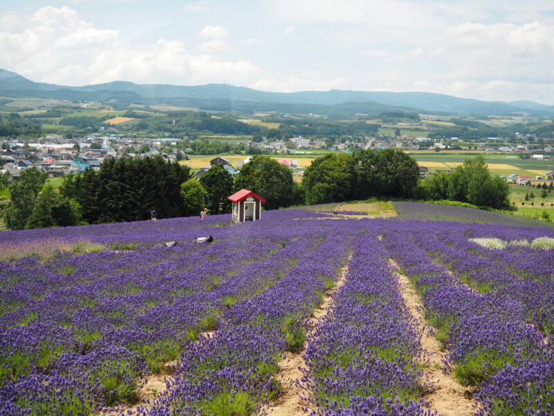 富良野