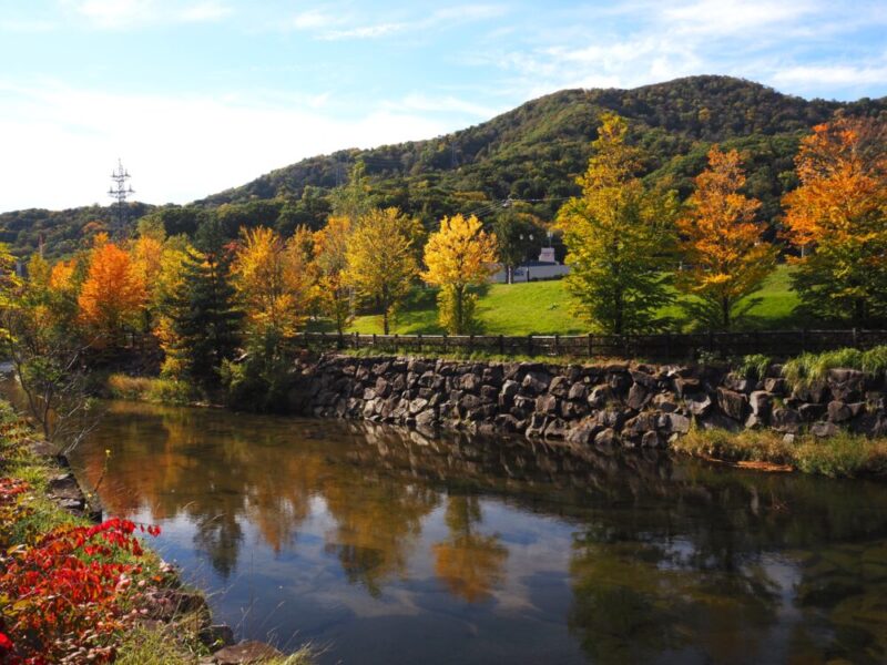 札幌 穴場・おすすめ紅葉スポット 山鼻川緑地の紅葉の様子