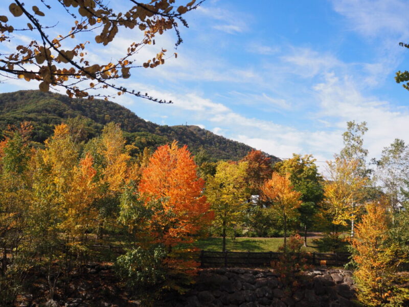 札幌 穴場・おすすめ紅葉スポット 山鼻川緑地の紅葉の様子