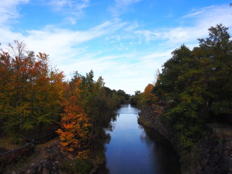 札幌 穴場・おすすめ紅葉スポット 山鼻川緑地の紅葉の様子