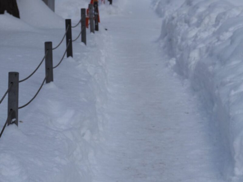 雪道