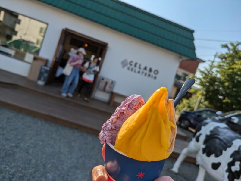 ジェラテリア ジェラボ GELABO GELATERIA 札幌福住エリアの人気ジェラート店 本格日替わりジェラートを楽しもう！