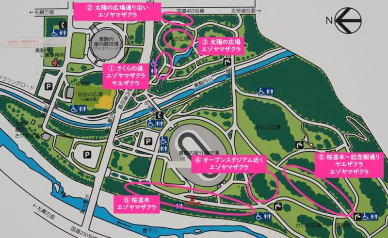 真駒内公園 札幌桜 お花見スポット マップ 案内地図