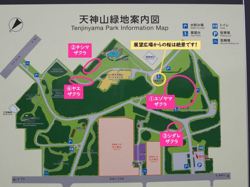 天神山緑地 桜 お花見スポット マップ 案内地図
