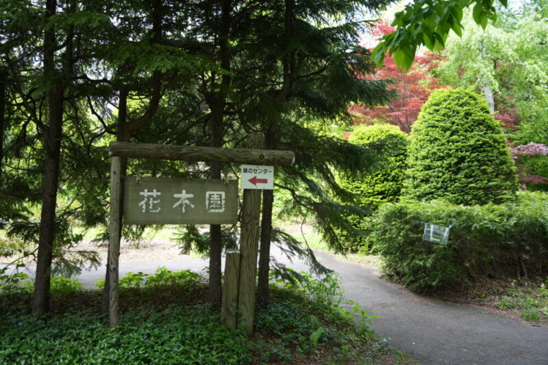 豊平公園 花木園