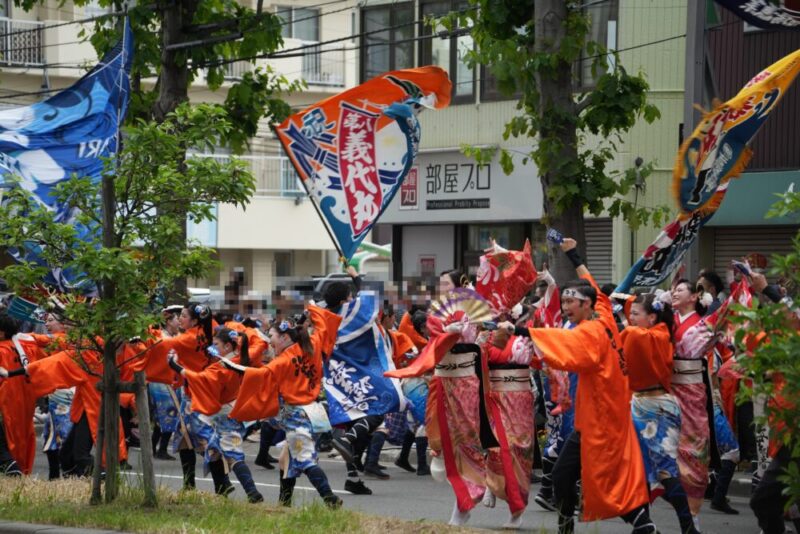 YOSAKOIソーラン祭り