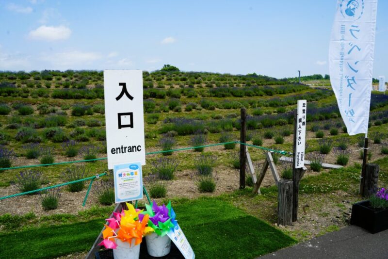 真駒内滝野霊園 ラベンダー祭 遊歩道入口