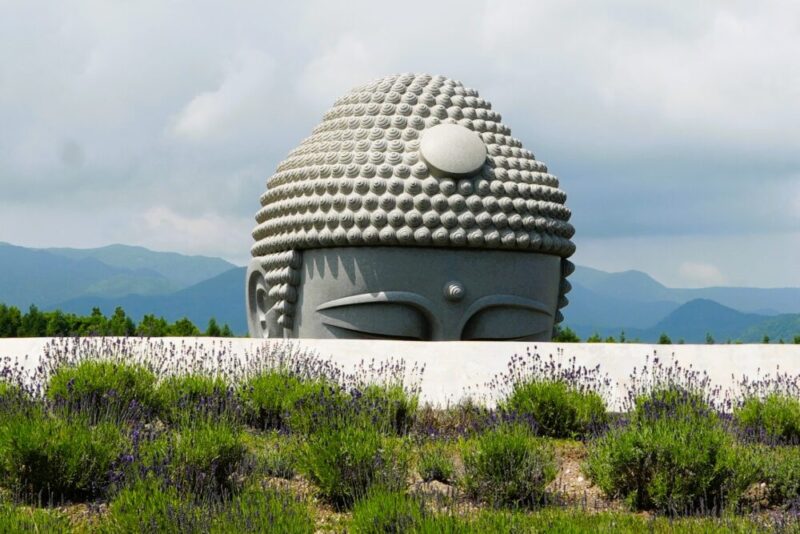 真駒内滝野霊園 ラベンダー祭 遊歩道 頭大仏