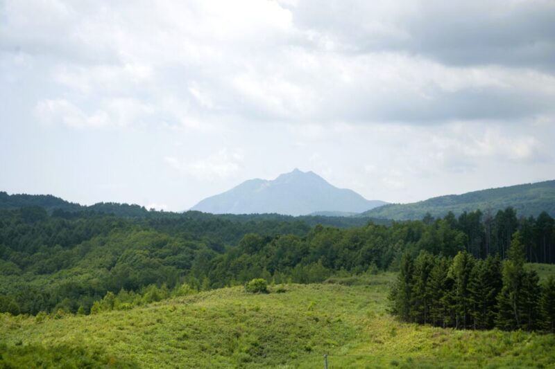 真駒内滝野霊園 ラベンダー祭 遊歩道から見える恵庭岳