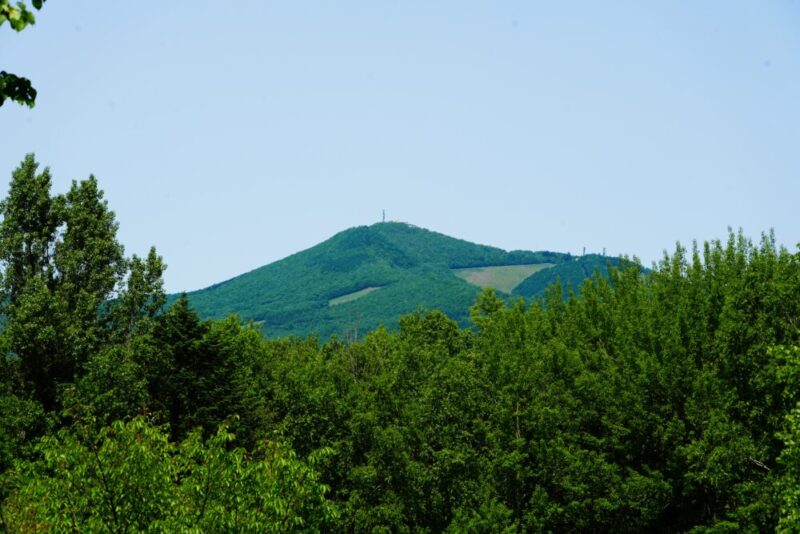 石山緑地 遠くに見える景色 藻岩山