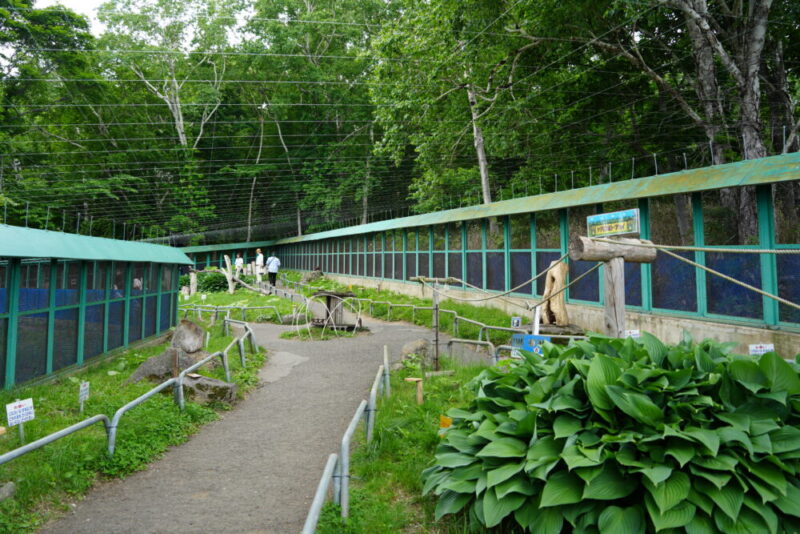 小樽天狗山シマリス公園 園内