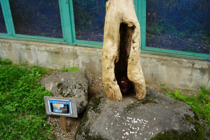 小樽天狗山シマリス公園