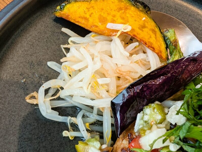 山本のハンバーグ札幌miredo店 期間限定メニュー 彩り夏野菜のハンバーグ