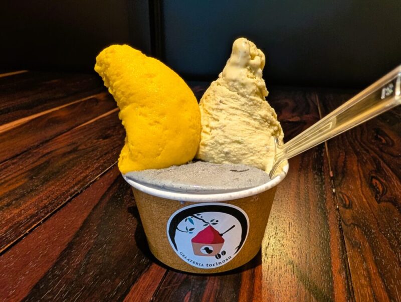 札幌・南区 ジェラート トリノス ジェラート トリプル