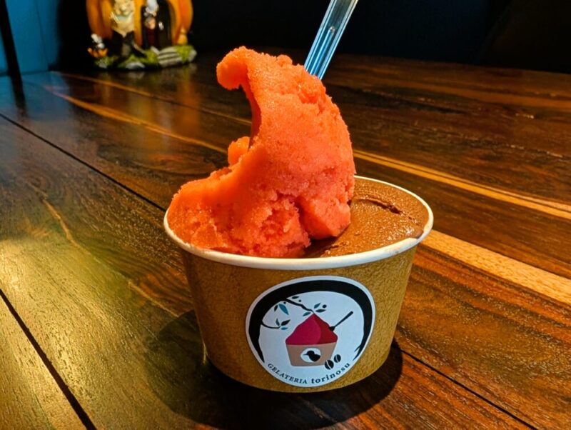 札幌・南区 ジェラート トリノス ジェラート ダブル