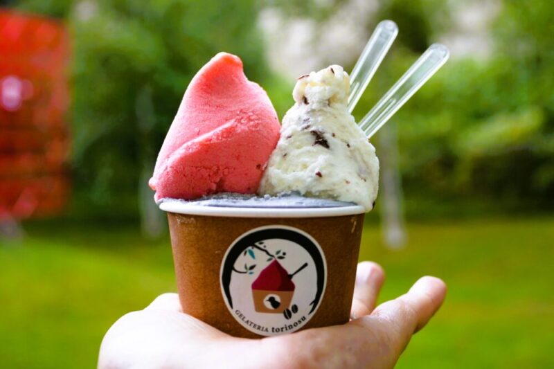 札幌・南区 ジェラート トリノス ジェラート トリプル
