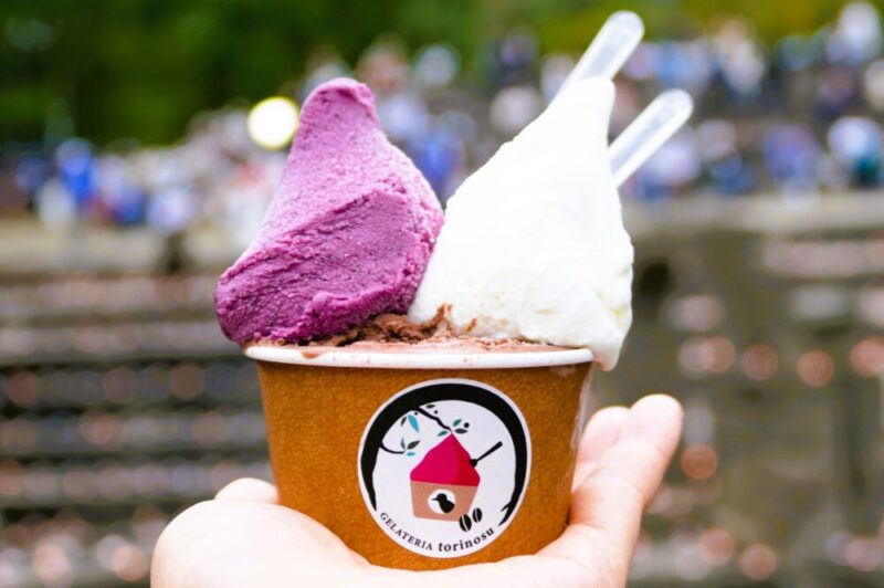 札幌・南区 ジェラート トリノス ジェラート トリプル