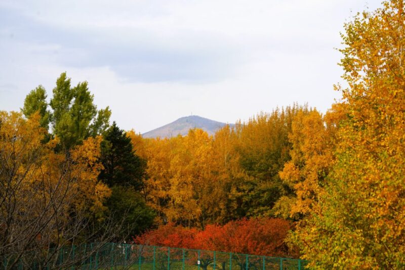 石山緑地の紅葉 札幌市南区