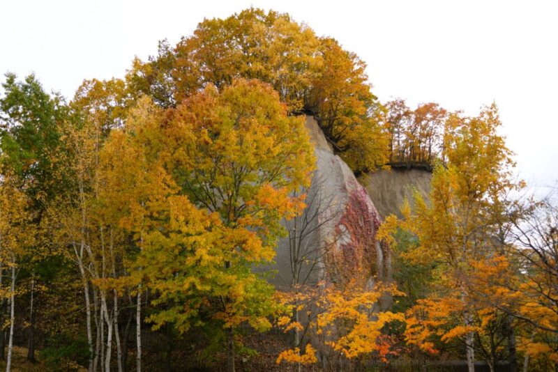 石山緑地の紅葉 札幌市南区