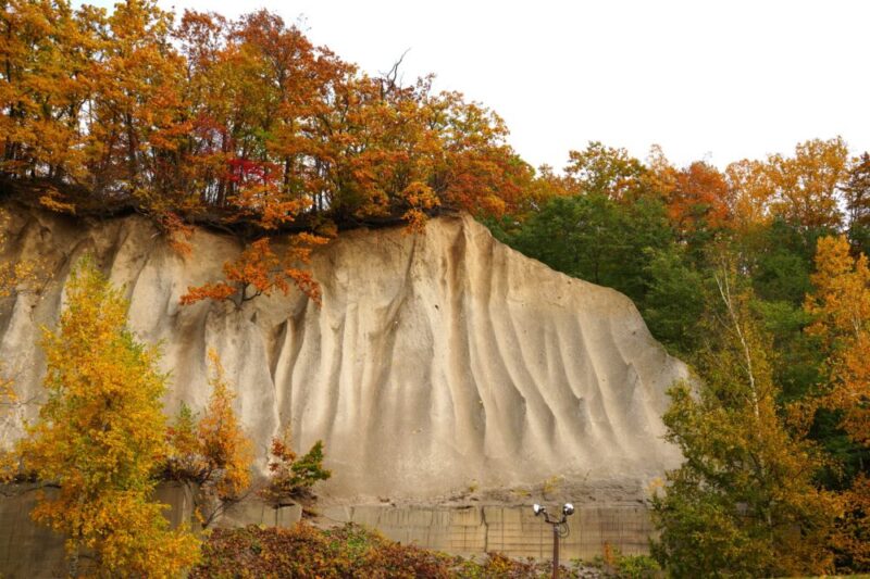 石山緑地の紅葉 札幌市南区