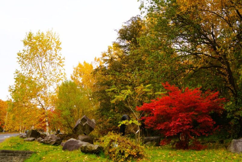 石山緑地の紅葉 札幌市南区