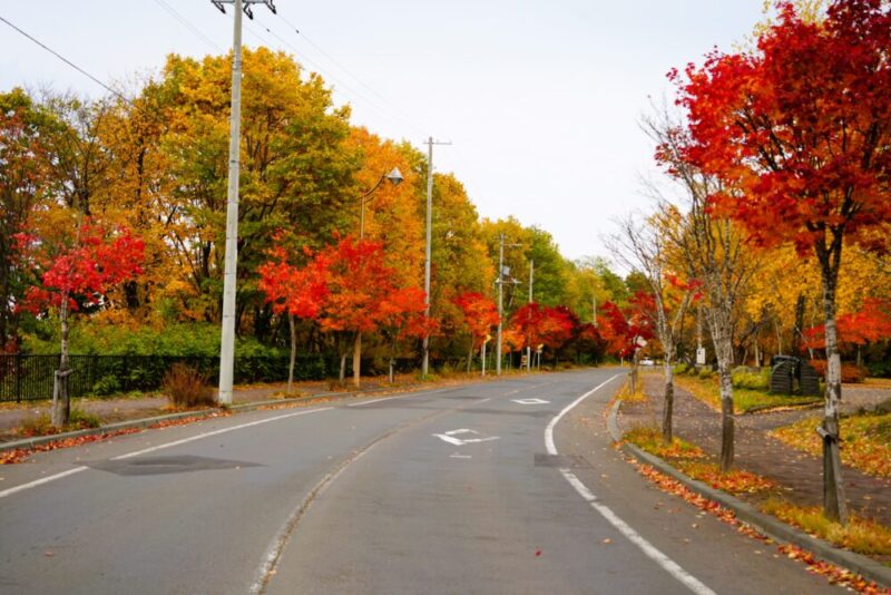 石山緑地の紅葉 札幌市南区