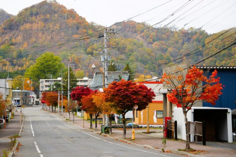 石山緑地の紅葉 札幌市南区