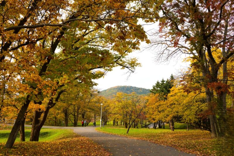 真駒内公園紅葉