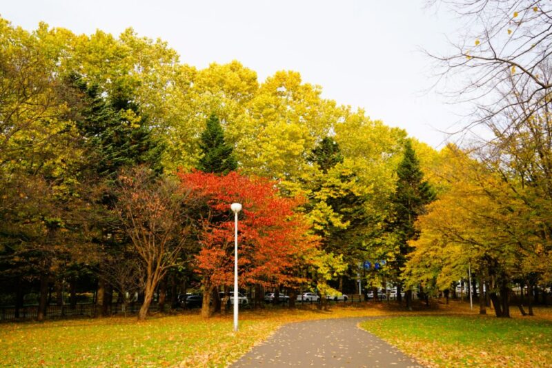 真駒内公園紅葉