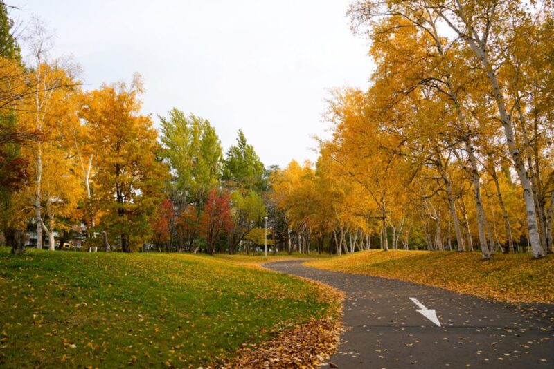 真駒内公園紅葉