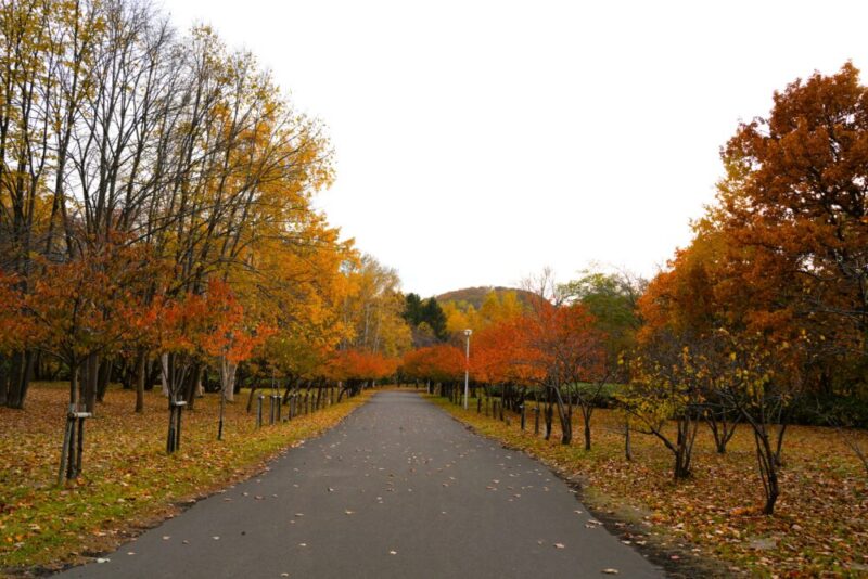 真駒内公園紅葉