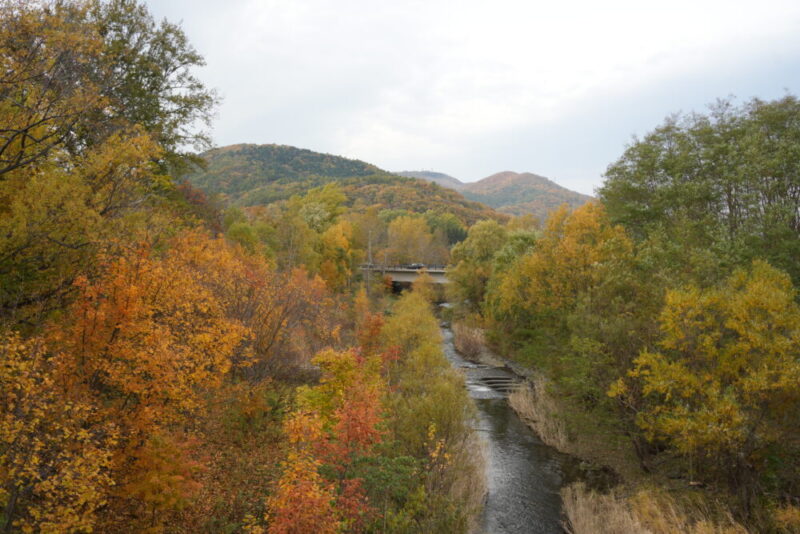真駒内公園紅葉