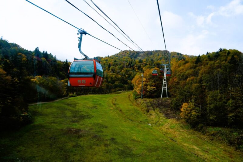 札幌国際スキー場 紅葉ゴンドラ