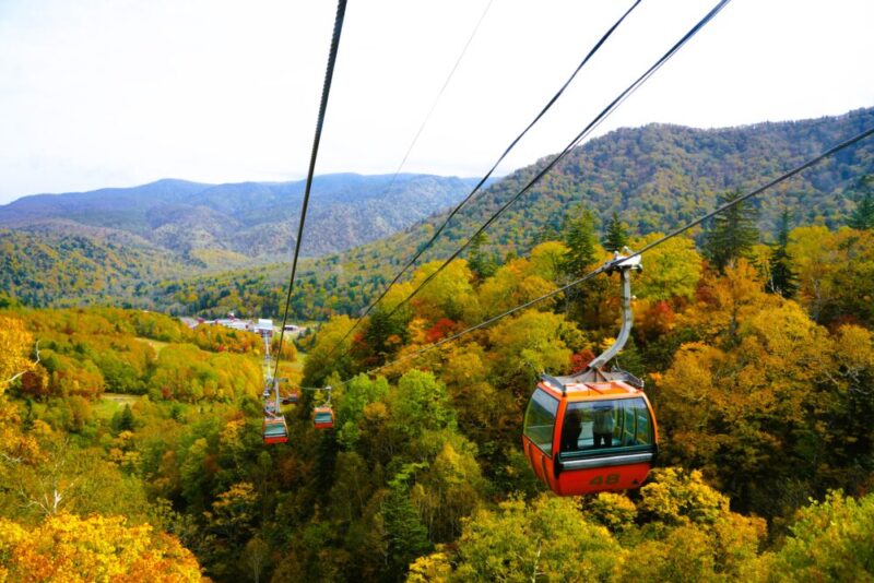 札幌国際スキー場 紅葉ゴンドラ