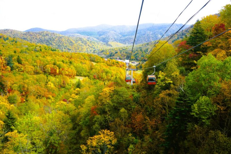 札幌国際スキー場 紅葉ゴンドラ