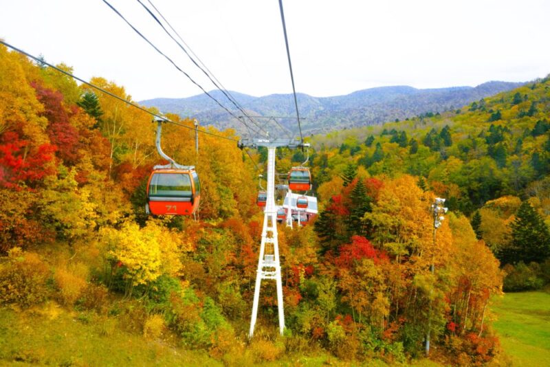 札幌国際スキー場 紅葉ゴンドラ