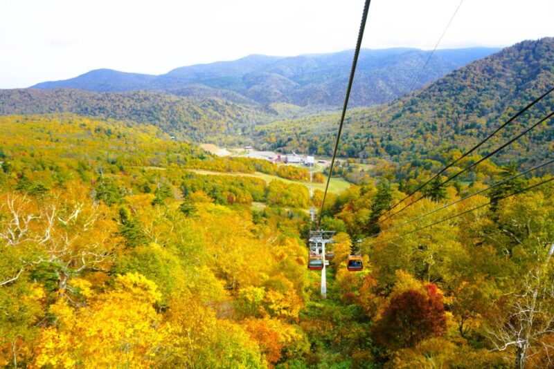 札幌国際スキー場 紅葉ゴンドラ