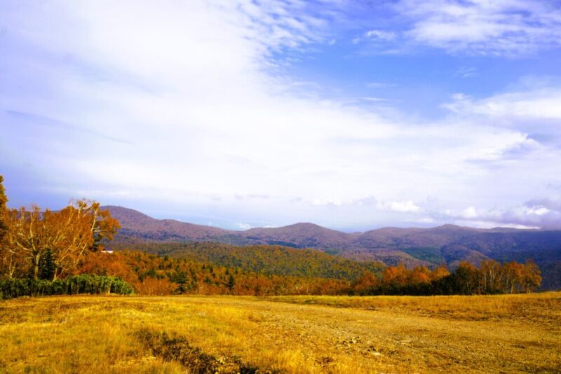 札幌国際スキー場 紅葉ゴンドラ