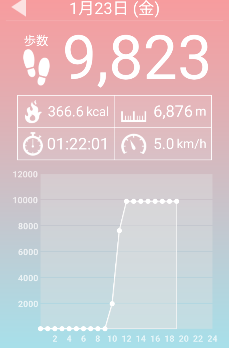 歩数と所要時間・距離