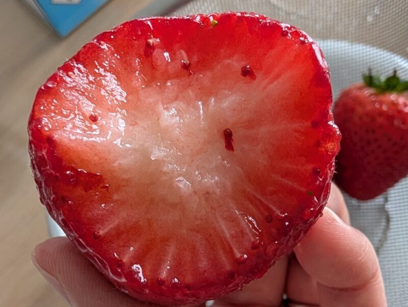 ロピア中の島店 とちあいか いちご