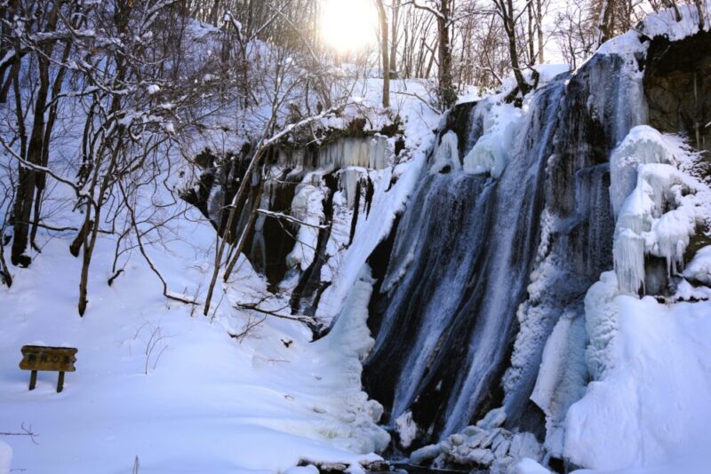 鱒見の滝の氷瀑（冬の滝野すずらん公園）