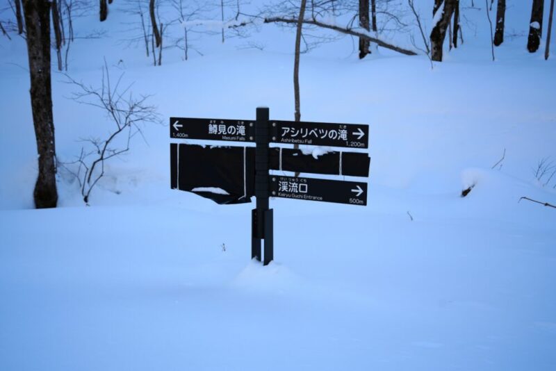 鱒見の滝までのルート