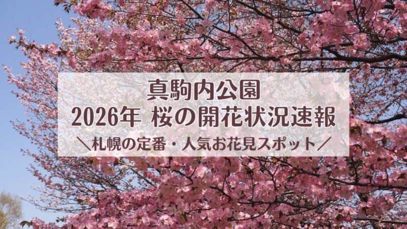 真駒内公園の桜｜見頃はいつ？2026年の開花状況｜札幌の人気お花見スポット