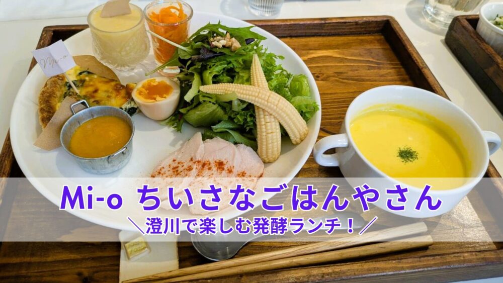 Mi-o ちいさなごはんやさん|澄川で楽しむ発酵ランチ!メニューや店内の様子をレビュー